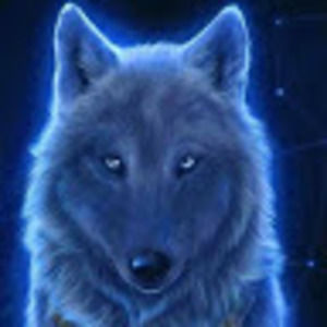 Meet your Posher, Sierra